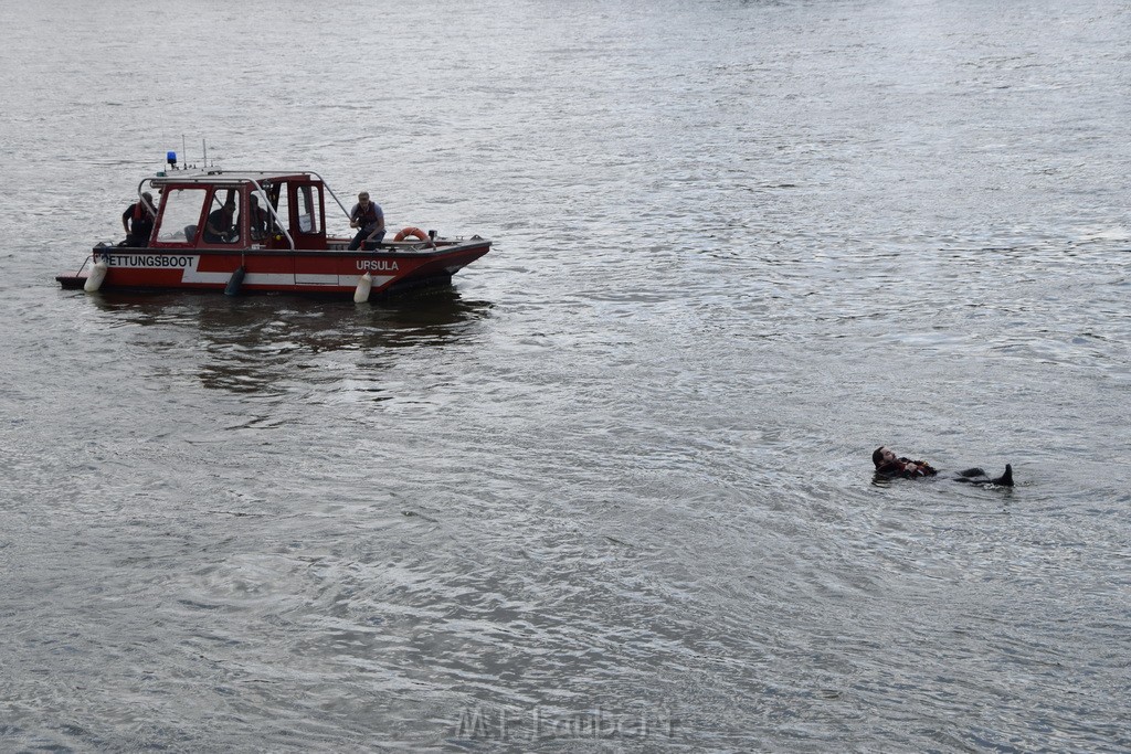 Uebung BF Taucher und Presse Koeln Zoobruecke Rhein P351.JPG - Miklos Laubert